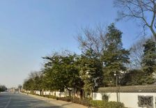 芙蓉古城紫玉园5室2厅西北东南