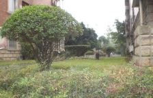 海德花苑 2室1厅 东南