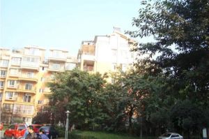 静水香榭3室2厅东南