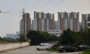 华西雅筑 2室1厅 东南