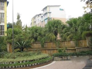 天府香城印象3室2厅南