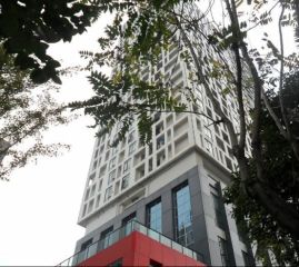 萧邦1室1厅南