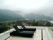 空气清新 负离子空气 优质的森林