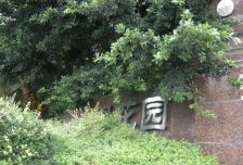 棕榈花园2室1厅北
