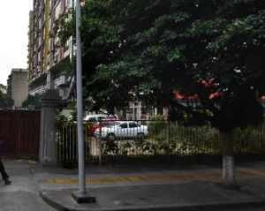 彩世界 2室1厅 南