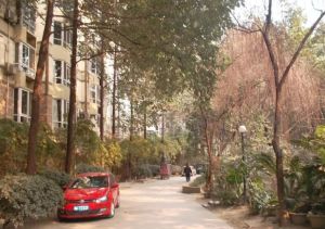 清水绿苑3室2厅东北
