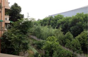 启明花园3室1厅东南