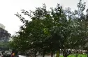 釜山国际城市公馆实景图