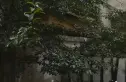 釜山国际城市公馆实景图