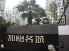 加怡名城1室1厅南