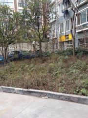 川西家园B区3室1厅东南