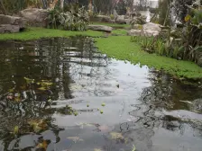 华岩新城 华宇锦绣花城二期三房60万