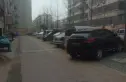 前园花园实景图