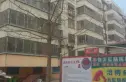 前园花园实景图