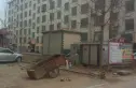 前园花园实景图