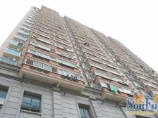 桃苑外国语旁 东方巴黎 精装一房 采光好