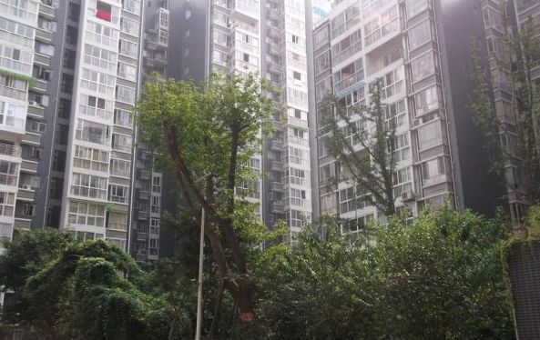 小区相关图