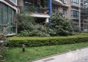 国嘉美领居3室2厅西南