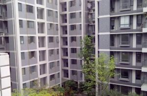 置信巴厘岛C区别墅4室2厅西南
