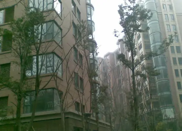 置信巴厘岛别墅实景图