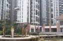 置信巴厘岛别墅实景图