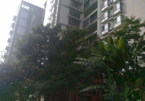 锦都2室1厅东南