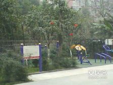 锦都3室1厅南
