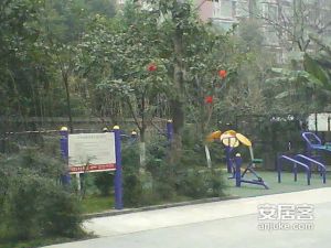 锦都3室1厅南