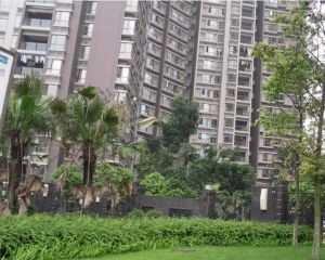 帕丽湾 3室1厅 东南