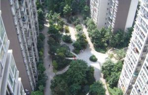 尚锦城3室1厅东南