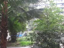 卫雅苑 3室2厅 西南