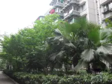 卫雅苑 3室2厅 西南