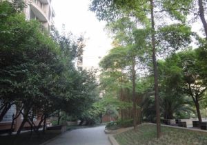香榭名苑3室2厅南北