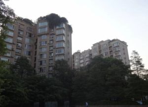 香榭名苑 2室1厅 西南