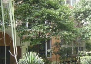 香榭名苑 3室2厅 东南