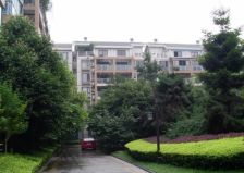 金沙芙蓉苑 6室1厅 南