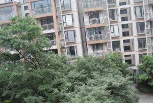 金沙芙蓉苑5室1厅东北