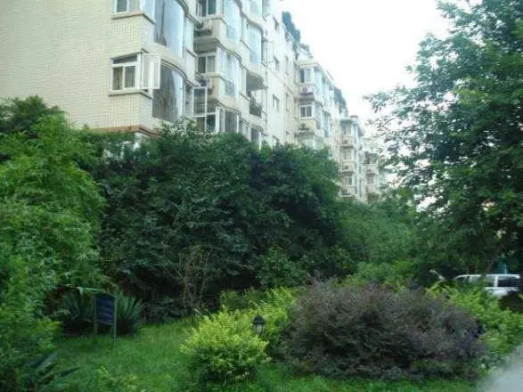 澳深花园实景图