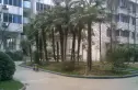 澳深花园实景图