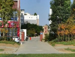 翠晨记2室1厅东南