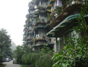悦民苑2室1厅西南
