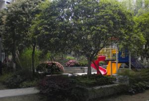 花间兰庭2室1厅西