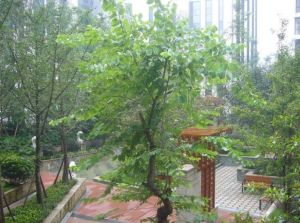 花间兰庭 2室1厅 东南