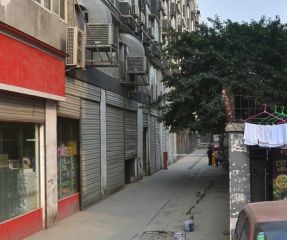 锦西国际 1室1厅 东南