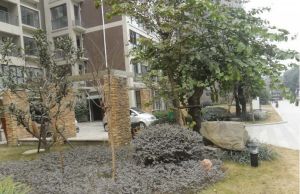 仁和迎宾 2室1厅 东南