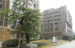 仁和迎宾3室1厅东北