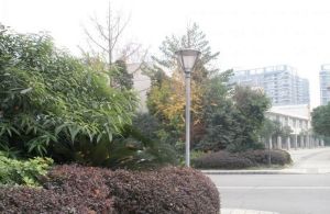 七彩花都B区一期2室1厅东南