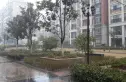 江山多娇二期实景图