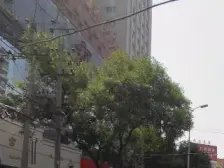 秦安路小北街精装东西采光视野好