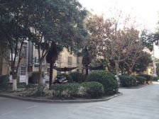 此房6楼楼中楼空间大通风透气自带前后大露台